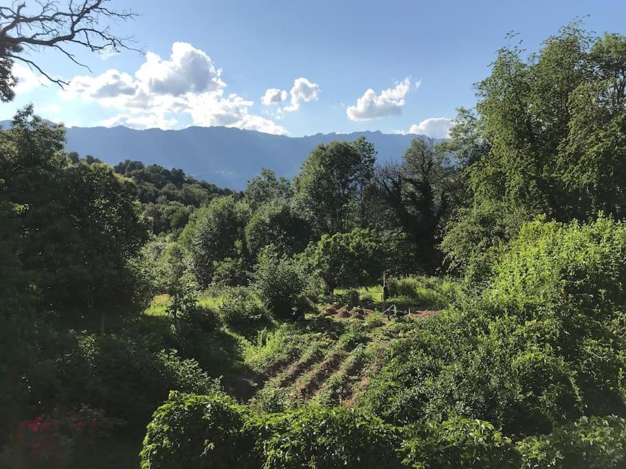 Belladone Guest House Theys Les 7 Laux Exterior foto